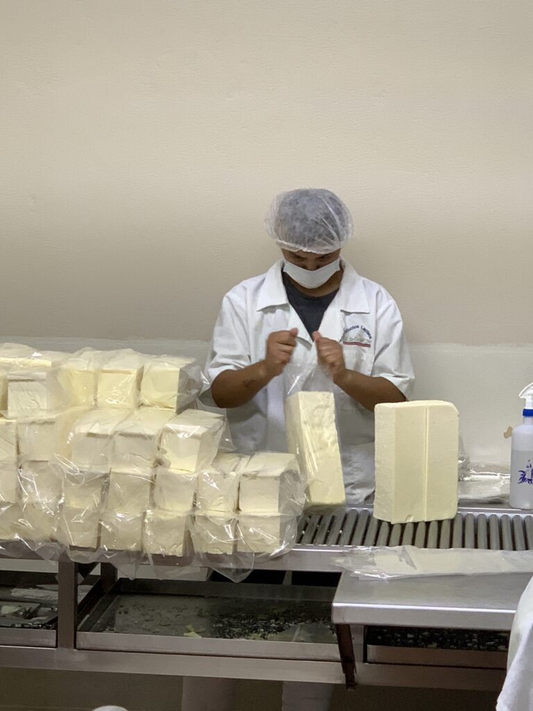 Mennonite cheese from Chihuahua is a favourite across Mexico (Photo by Mark Stachiew)