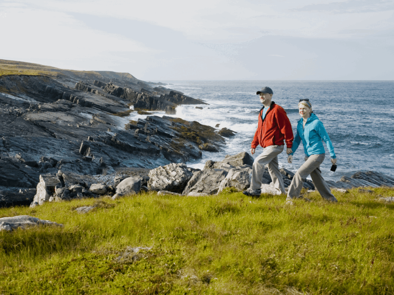 Mistaken Point, Newfoundland is home to the oldest fossils on Earth. It's also incredibly scenic! (Handout Photo via Mistaken Point Ecological Reserve)