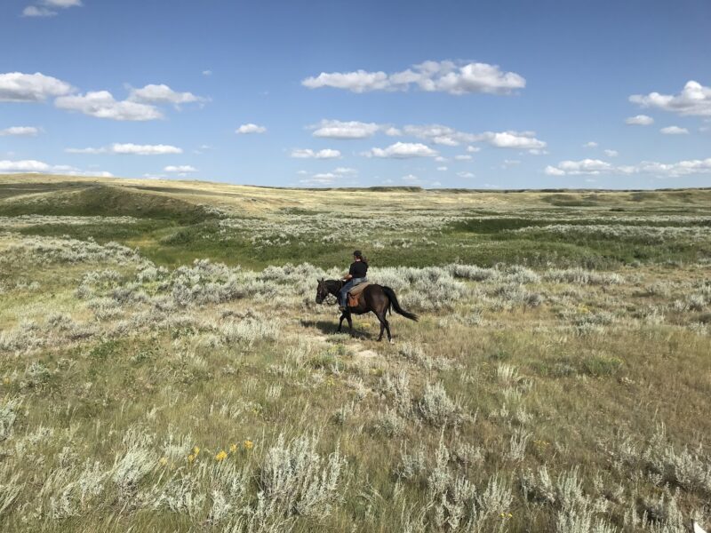 Grasslands National Park is a remarkable place to visit in Saskatchewan. (Photo by Mark Stachiew)