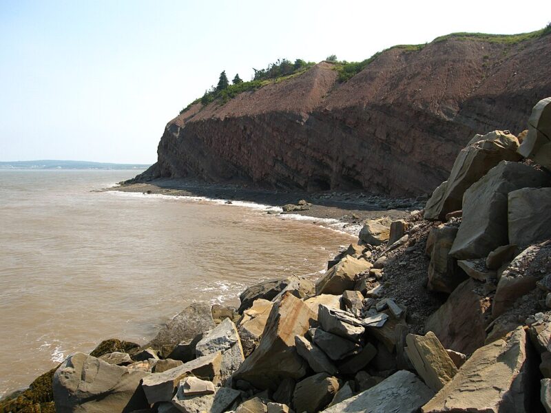 If you love fossils, Joggins Nova Scotia is a must-see attraction. (Photo via Wikimedia Commons)