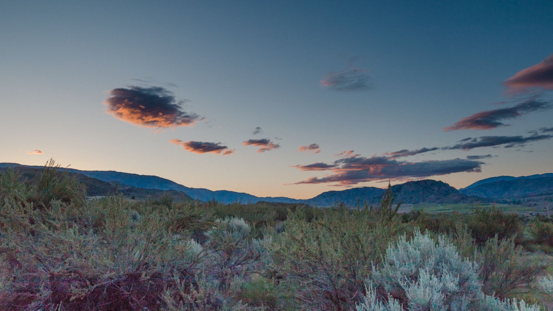 A desert? In Canada? You'll find one at Osoyoos in British Columbia (Handout photo via Destination Osoyoos)